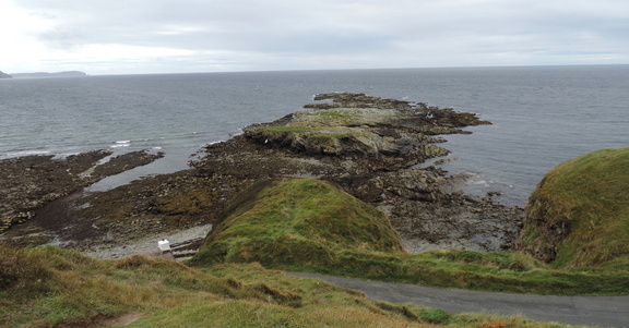 Rocks