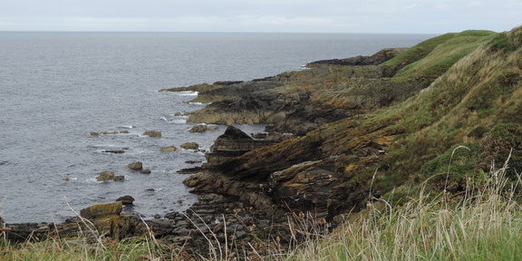 Along the coast