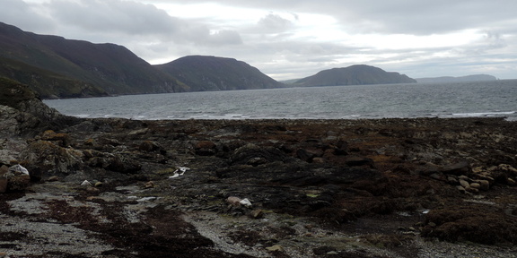 Along the coast