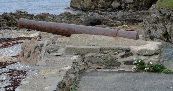 Cannon