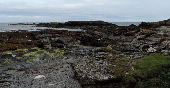 Rocks