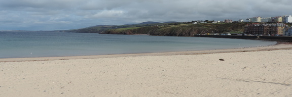 Along the beach