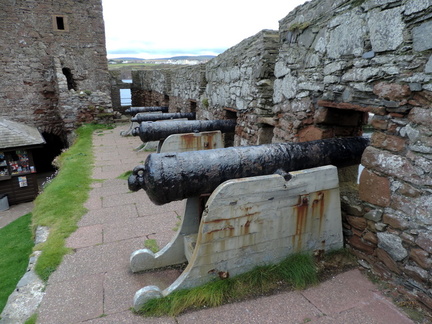 Cannon