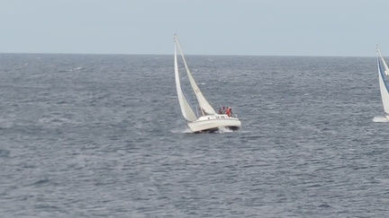 Yachts