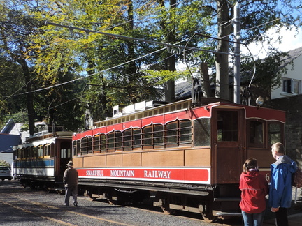 Trams