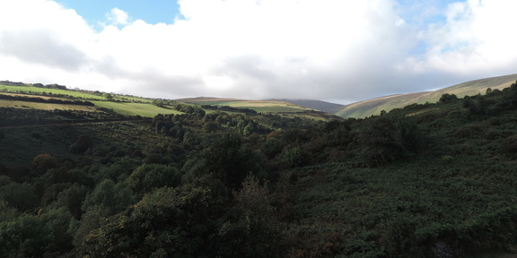 Up the valley