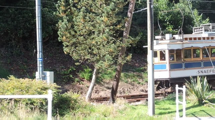Tram