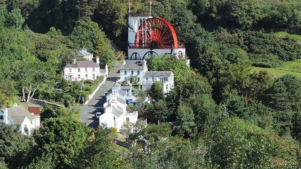 Wheel