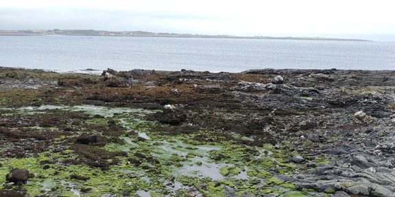 Across the bay