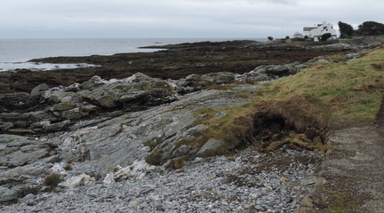 Rocky coast