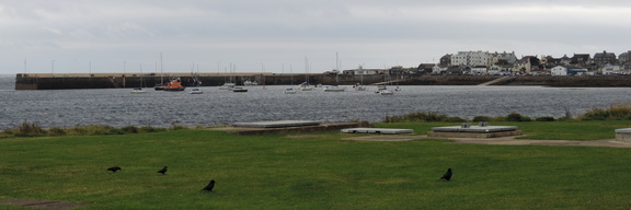 Harbour