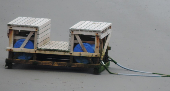 Raft