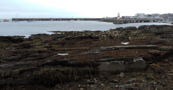 Harbour