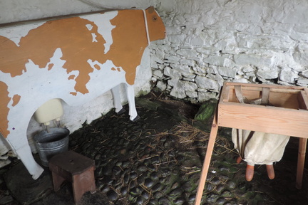 Milking display