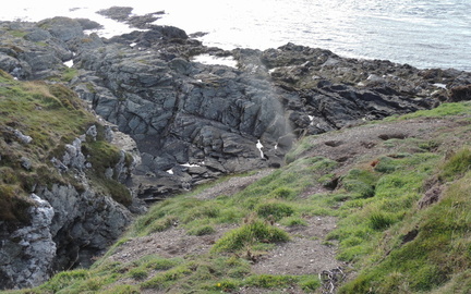 Rocks