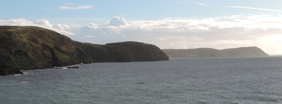 Along the coast