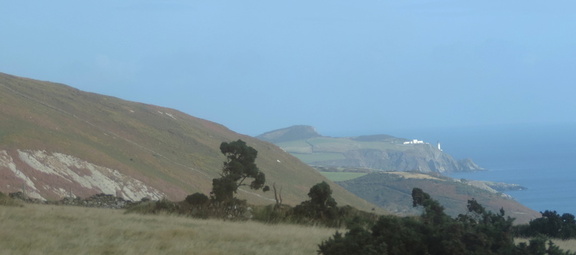 Along the coast
