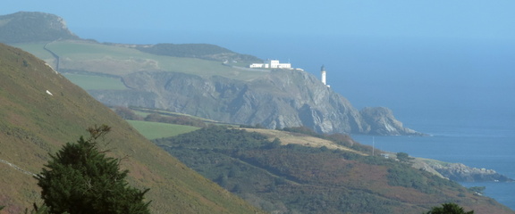 Along the coast