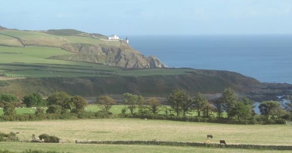 Along the coast