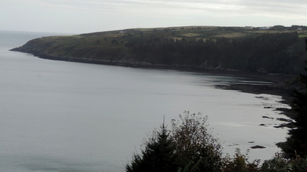 Along the coast