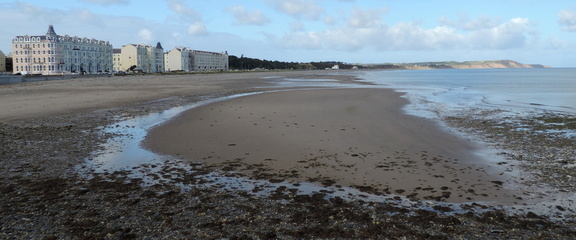Along the beach