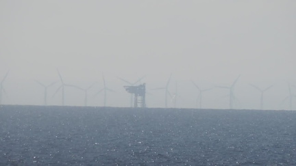 Wind farm
