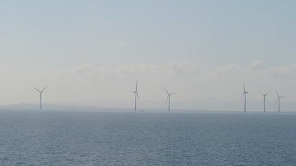 Wind farm