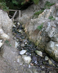 Stream