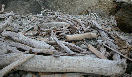 Wood