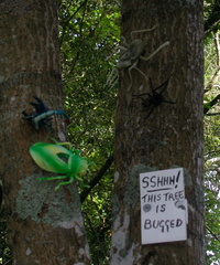 Bugged