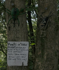 Points of View
