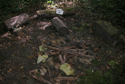 Logs