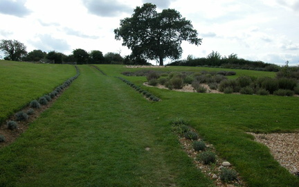 Lawn
