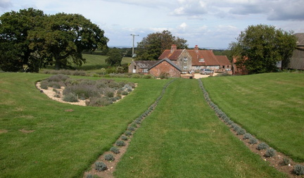 Down the lawn