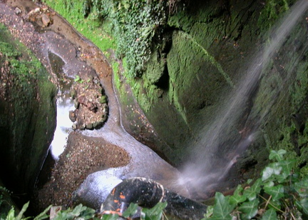 Water