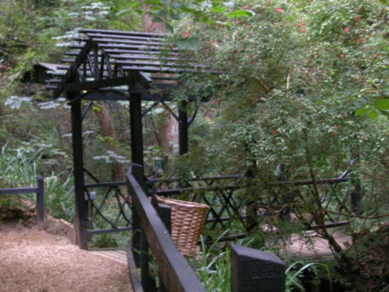Bridge