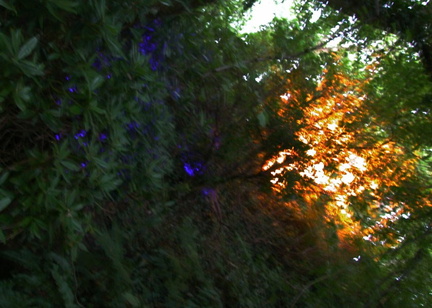 Blue and orange