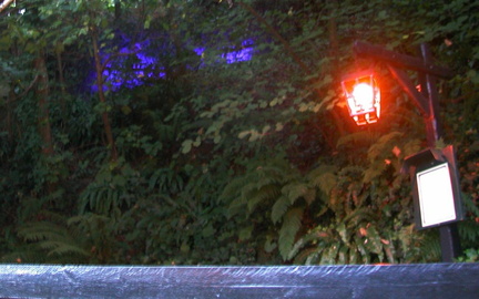 Lights