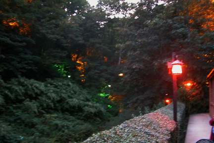 Lights