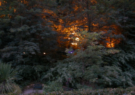 Orange glow