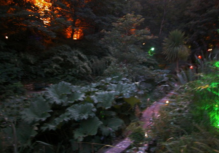 Plants