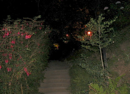 Up the path