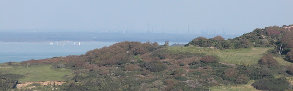Bushes and chimneys