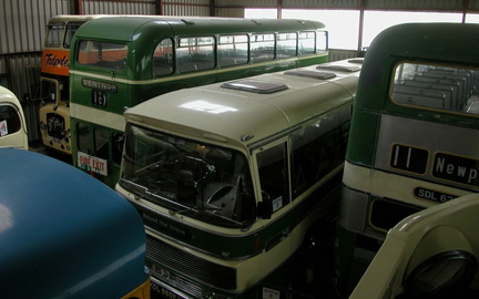 Buses