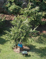 Gardener