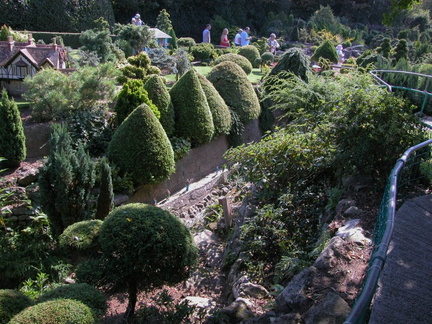Trees