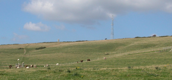 Hillside