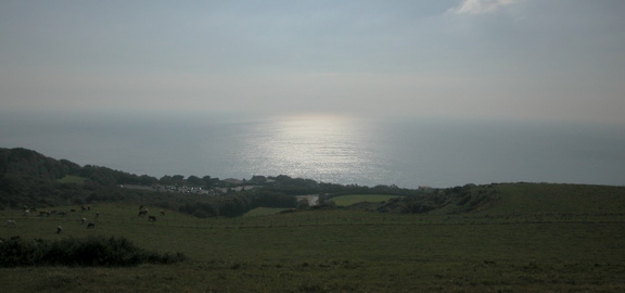 Sunlight