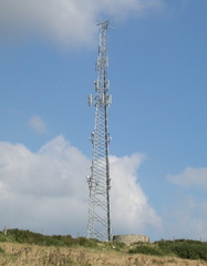 Mast