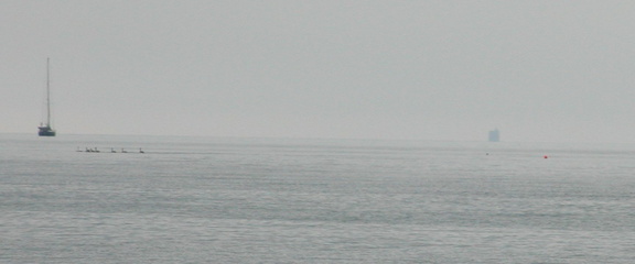 Yacht, birds and a distant shape